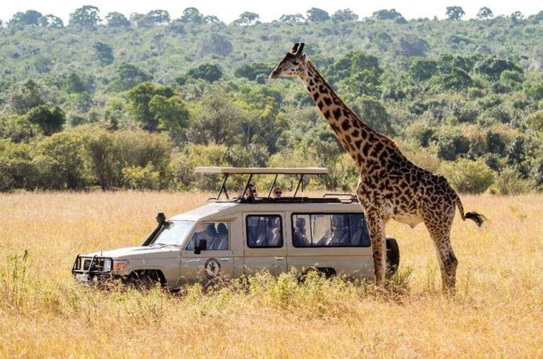 Ultimate Guide to African Safari Tour Operators: Insights, Benefits, and Real-World Use Cases