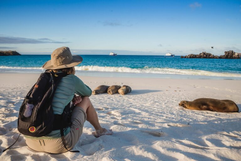Solo Travel to Galapagos Islands: A Comprehensive Guide for Independent Adventurers