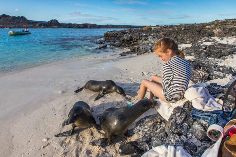 Galapagos Islands Solo Travel: A Complete Guide for Independent Explorers