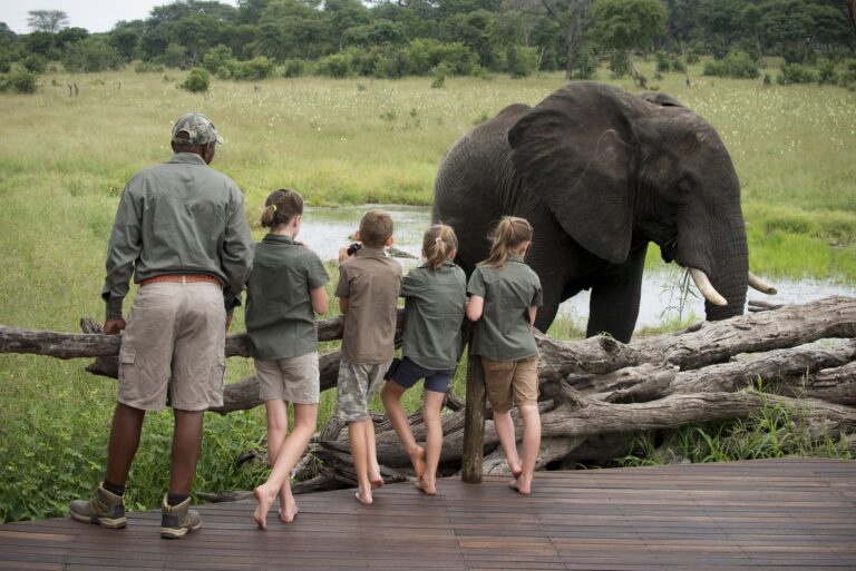 African Safari Trips for Families: A Complete Guide to Unforgettable Wildlife Adventures
