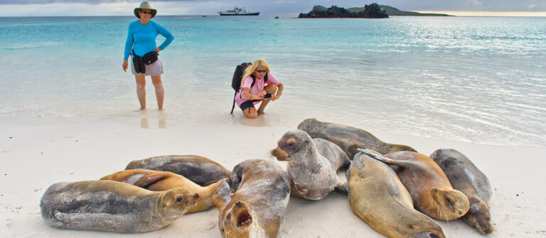 Galapagos Tours for Singles: A Complete Guide to Solo Adventures in the Enchanted Islands