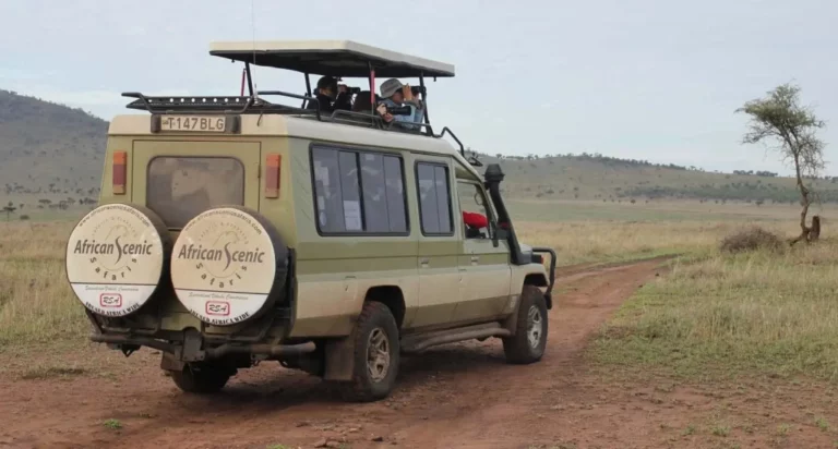 Top Safari Tour Operators: A Complete Guide to the Best African Safari Experiences