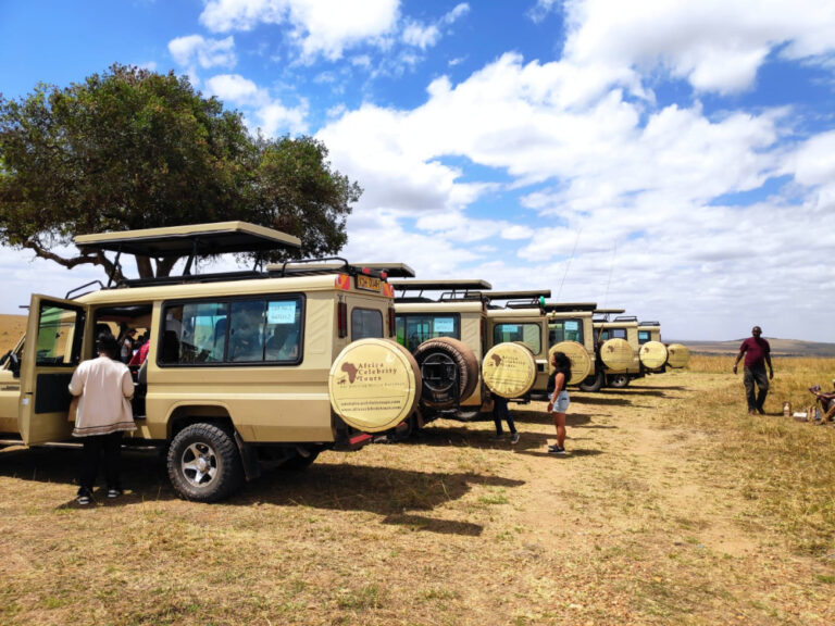 Best Safari Tour Companies for Unforgettable Wildlife Adventures in 2025