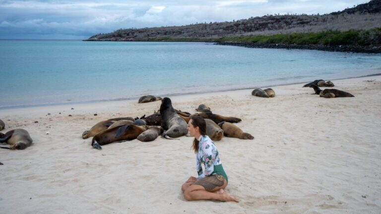Galapagos Solo Female Travel Guide – Safe, Empowering & Unforgettable Adventures